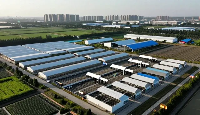 地区数据安全选型中的关键考量要素